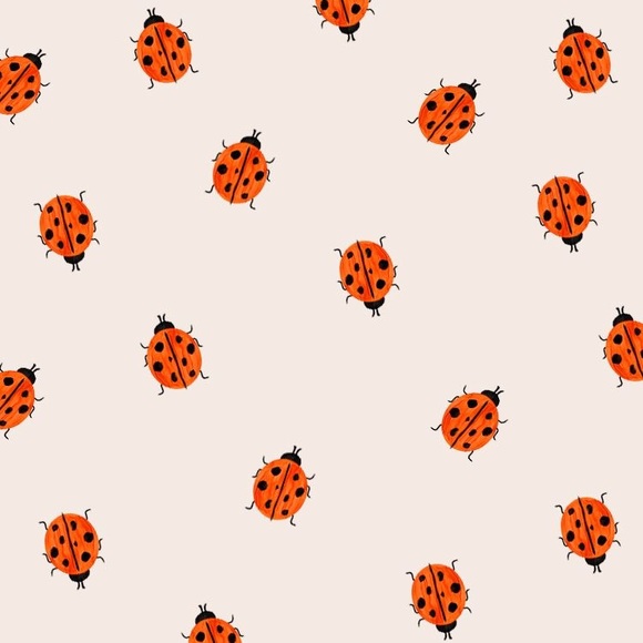 Meet your Posher, Minddy - Picture 4 of 7